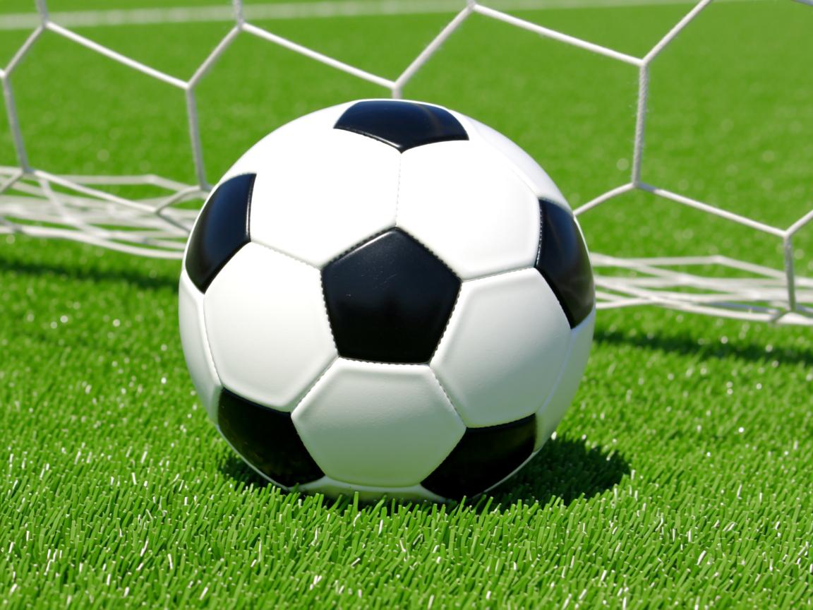 od体育平台-仰泳双线作战 德国稳步前行，双旭教仰泳第四课  第2张