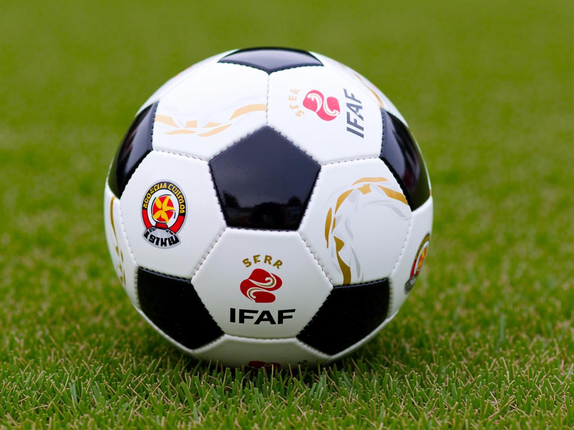 od体育官网app-德国蝶泳选手划水波动最小，蝶泳运动员  第3张